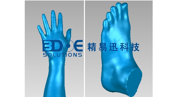 手腳3d模型